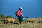 puno tour